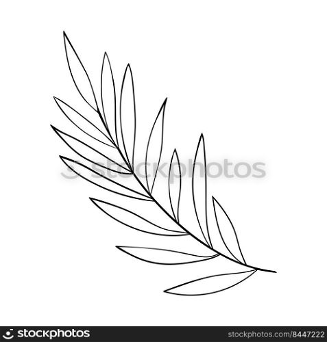 Floral branch. Herb and forest plant. One sprig of grass with elegant leaves. botanical rustic pattern