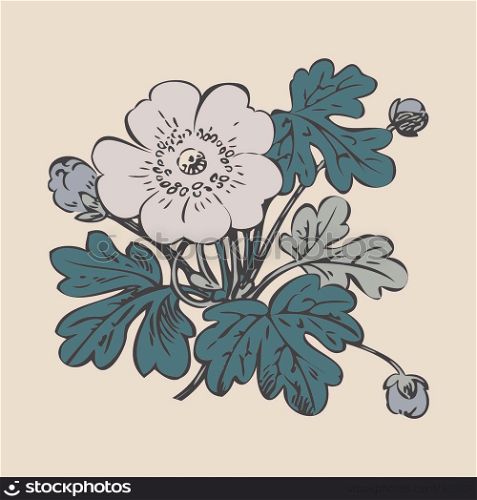 Floral bush retro on white background vector, hand drawn decorative flower vintage contour, closeup branch with flower and buds print design