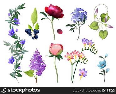 Floral collection. Wedding flowers with leaves vector colored flowers botanical pictures set. Illustration of floral botanical, flower and plant. Floral collection. Wedding flowers with leaves vector colored flowers botanical pictures set