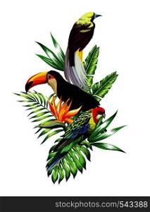 Floral composition exotic tropical birds toucan and parrot sitting on a palm banana leaves and Strelitzia flower. Print nature fashion illustration painting jungle wallpaper on a white background