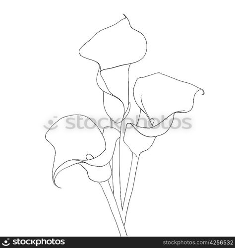 floral design element and hand-drawn , vector illustration