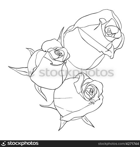 floral design element and hand-drawn , vector illustration