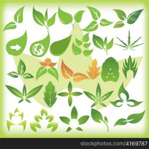 floral elements for design with lots of leaves