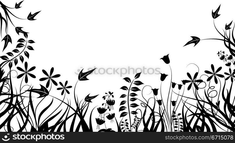 Floral frame, vector