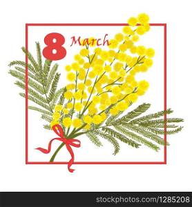Floral Greeting card. 8 March international Women Day. Mimosa flower holiday background. Vector illustration. Floral Greeting card. 8 March international Women Day. Mimosa flower holiday background