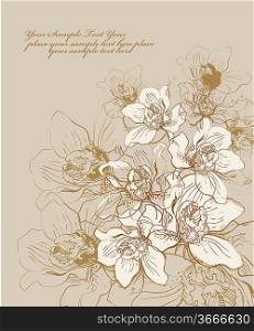 floral hand drawn background with blooming orchids
