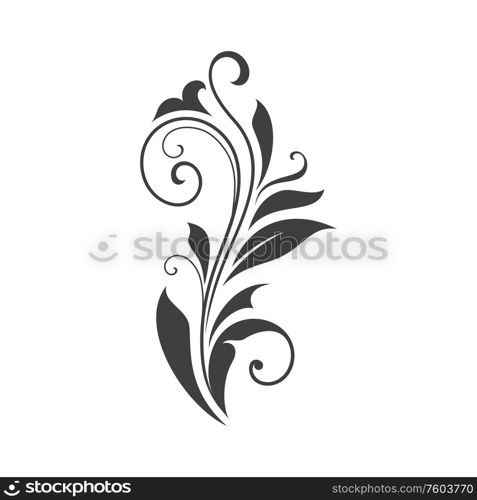 Floral ornament leaves and scrolls isolated. Vector calligraphic vintage branch with leaf. Branch with leaves isolated floral ornament