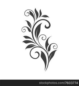 Floral ornament leaves and scrolls isolated. Vector calligraphic vintage branch with leaf. Branch with leaves isolated floral ornament