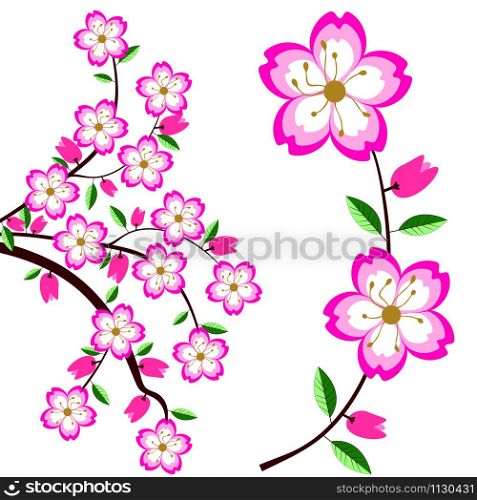 Floral pattern for your design. Floral template for holiday, wedding, happy birthday. Vector EPS 10. Sakura for your design. Vector EPS 10