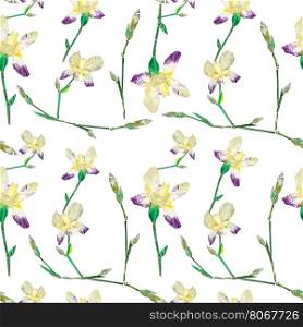 Floral seamless pattern with iris flowers over white