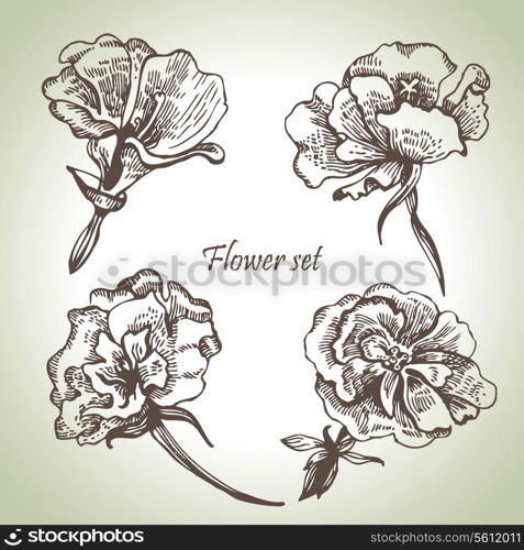 Floral set. Hand drawn illustrations