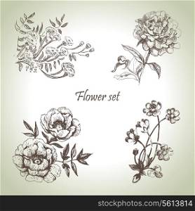 Floral set. Hand drawn illustrations
