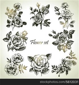 Floral set. Hand drawn illustrations of roses