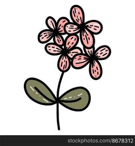 Floral spring wild flower isolated flat illustration.