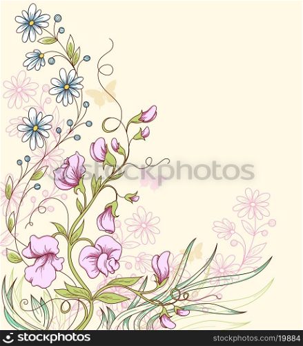 Floral summer vector background with sweet pea