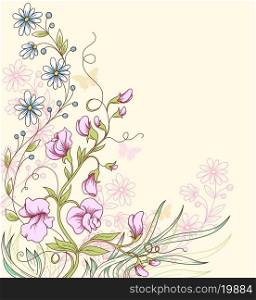 Floral summer vector background with sweet pea