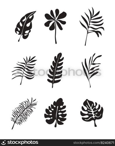 Floral tropical branch of palm in silhouette style. Fern, monstera leaves for invitation, poster, logo. Botanical greenery black plant set vector.. Floral tropical branch of palm in silhouette style. Fern, monstera leaves for invitation, poster, logo.