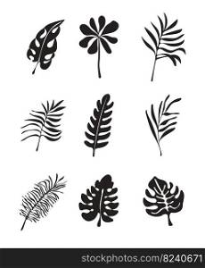 Floral tropical branch of palm in silhouette style. Fern, monstera leaves for invitation, poster, logo. Botanical greenery black plant set vector.. Floral tropical branch of palm in silhouette style. Fern, monstera leaves for invitation, poster, logo.