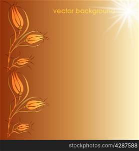 floral vector background two