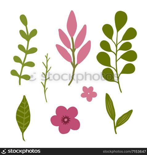 Floral vector elements. Decorative isolated leaves for spring design decoration. Floral vector elements. Decorative isolated leaves for spring design decoration.