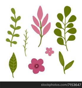 Floral vector elements. Decorative isolated leaves for spring design decoration. Floral vector elements. Decorative isolated leaves for spring design decoration.