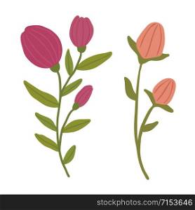 Floral vector illustration. Decorative isolated flowers. Floral vector illustration. Decorative isolated flowers.