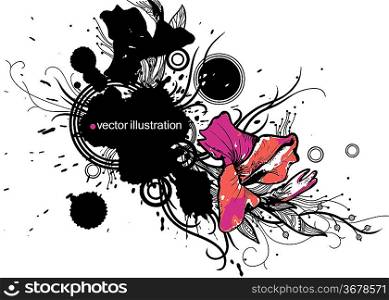 floral vector illustration of colorful gladiolus and abstract plants