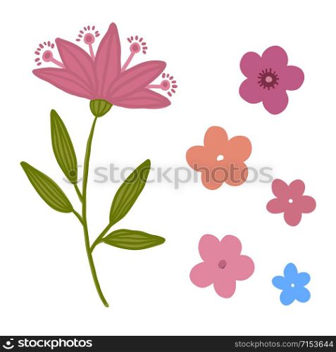 Floral vector pack. Decorative isolated flowers. Floral vector pack. Decorative isolated flowers.