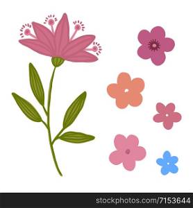 Floral vector pack. Decorative isolated flowers. Floral vector pack. Decorative isolated flowers.