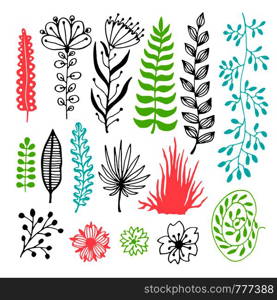 Floral vector set with flowers and leaves. Vector illustration for design decoration.. Floral vector set with flowers and leaves. Vector illustration for design decoration