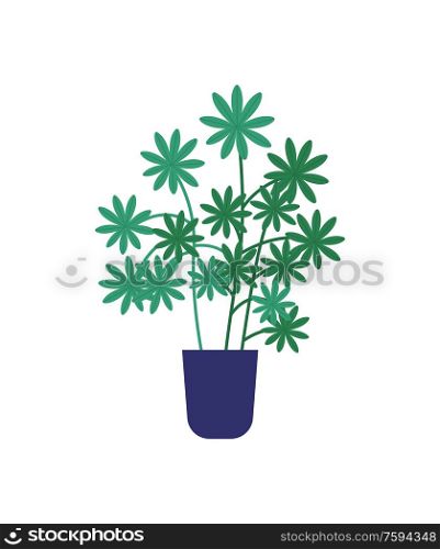 Floral with leaves and fresh greenery foliage potted evergreen plant. Houseplant growing in container for flowers vector, decoration for home, flat style. House Plant, Shrubs Growing from Ground Isolated