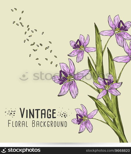 Floral with typography Royalty Free Vector Image