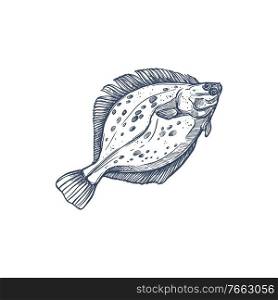 Flounder flatfish species isolated monochrome sketch. Vector demersal fish living at bottom of oceans. Gulf or southern summer flounder, european winter Halibut olive flounders, Paralichthys albigutta. Gulf flounder isolated ocean fish European halibut