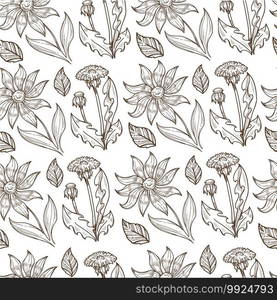 Flourishing flowers with foliage and stems, seamless pattern of flora. Floristic composition of dandelion and plant with petals. Summer blooming. Monochrome sketch outline, vector in flat style. Dandelion and flowers in blossom, colorless seamless pattern