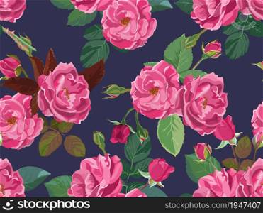 Flourishing pink roses, spring and summer flowering foliage and flowers. Romantic background or print, feminine wrapping with botany ornaments and decoration. Vector in flat style illustration. Summer and spring foliage and blooming pink roses