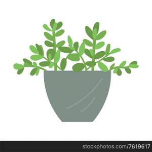 Flourishing plant in vase vector, isolated decor in container, foliage on branches, leafy flower, natural ecological decor for home and interior flat style. Flower in Vase, Flower in Pot, Ecological Decor
