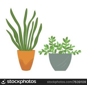 Flourishing plant in vase vector, isolated decor in container, foliage on branches, leafy flower, natural ecological decor for home and interior flat style. Flower in Vase, Flower in Pot, Ecological Decor