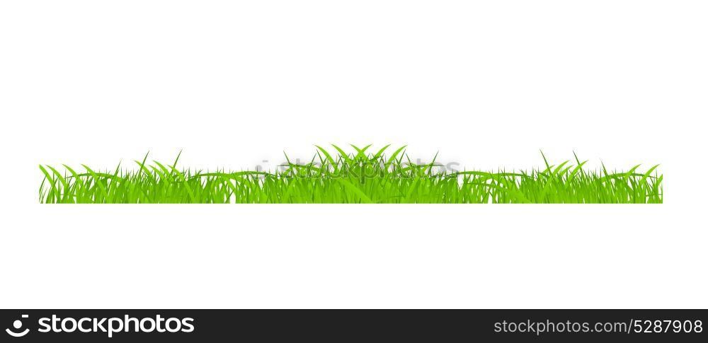 Flower and grass Borders set. vector illustration