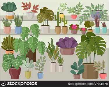 Flower and home plant store. Vector Illustration