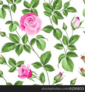Flower background of red fashion rose for your seamless pattern. Vector illustration.