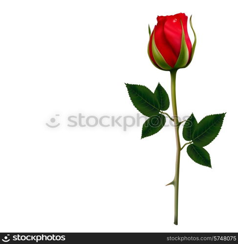 Flower background with a beautiful red rose. Vector.