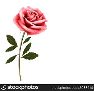 Flower background with a pink rose. Vector.