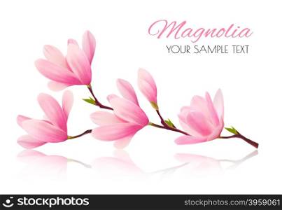 Flower background with blossom branch of pink magnolia. Vector
