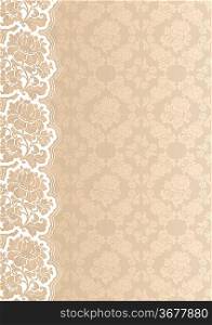 Flower background with lace