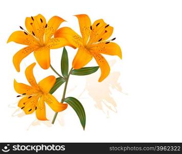 Flower Background With Three Beautiful Lilies. Vector.