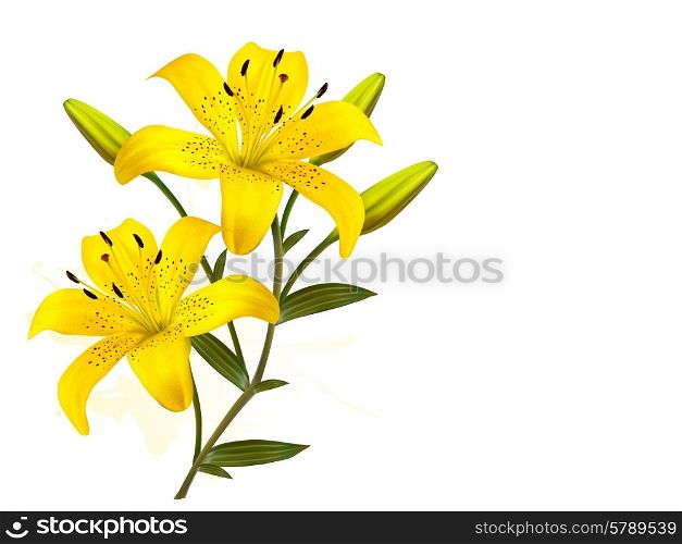 Flower Background With Yellow Beautiful Lilies. Vector.