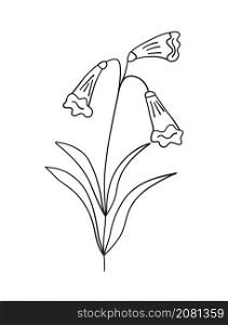 Flower bell vector. Campanula with leaves in a linear style. Logo nature, field plants illustration. Flower bell vector. Campanula with leaves in a linear style. Logo nature, field plants