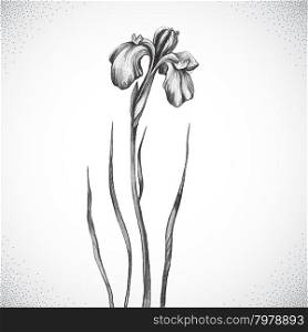Flower. Black and white Dotwork. Flower. Black and white Dotwork. Vintage engraved illustration style