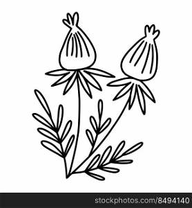 Flower. Black and white twig. Plants and herbs. Vector doodle illustration. Postcard decor element. Single object.