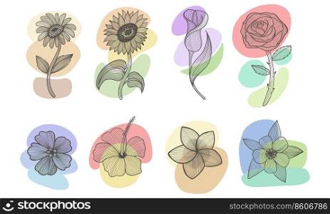 Flower boho aesthetic elements collection vector illustration
